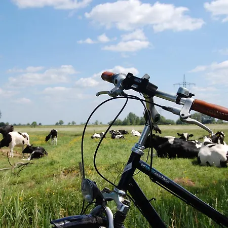 Wiesenblick, 65322 *