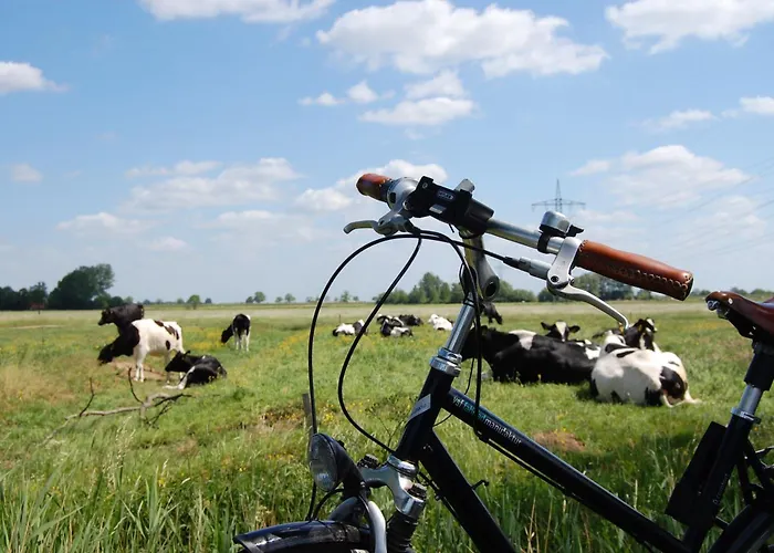 Wiesenblick, 65322 *